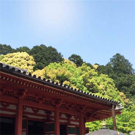 f:id:fumimanokimochi:20170524105317j:image f:id:fumimanokimochi:20170524105317j:image