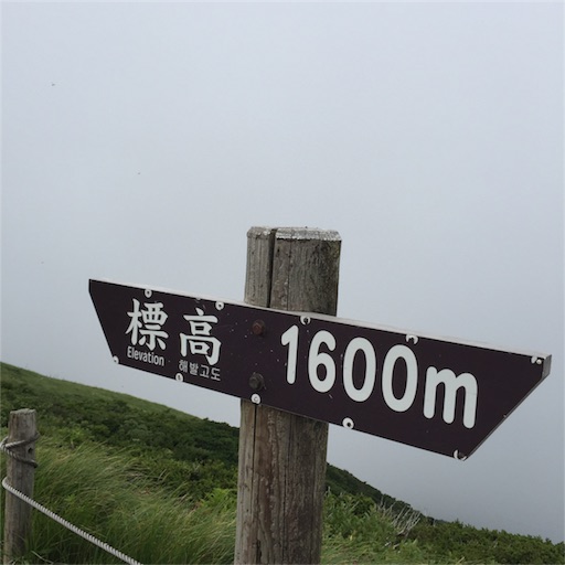 f:id:fumimanokimochi:20170729003951j:image f:id:fumimanokimochi:20170729003951j:image