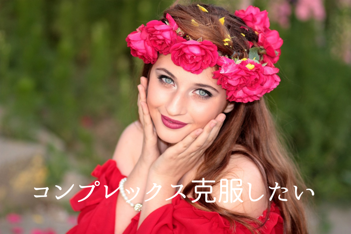 f:id:fumimi2323:20201112144326p:plain f:id:fumimi2323:20201112144326p:plain