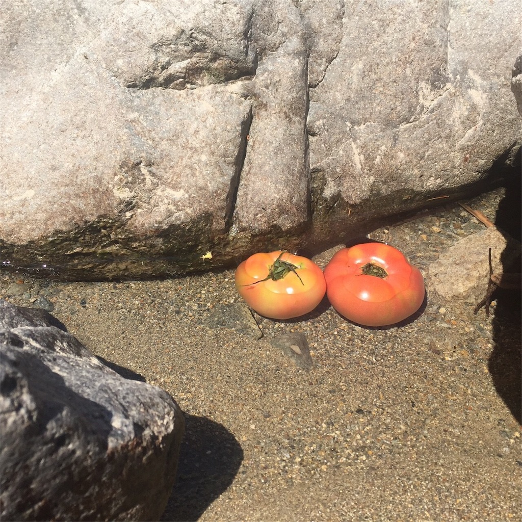 f:id:fuminature:20170811124118j:plain f:id:fuminature:20170811124118j:plain