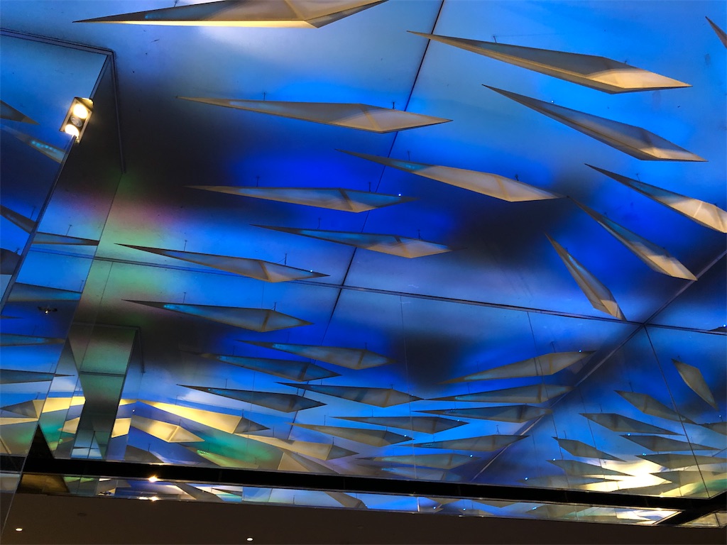 f:id:fuminature:20191105210414j:plain