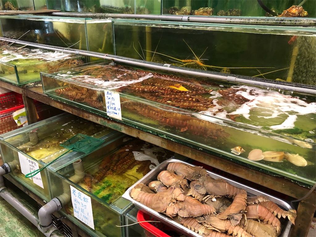 f:id:fuminature:20191105210511j:plain