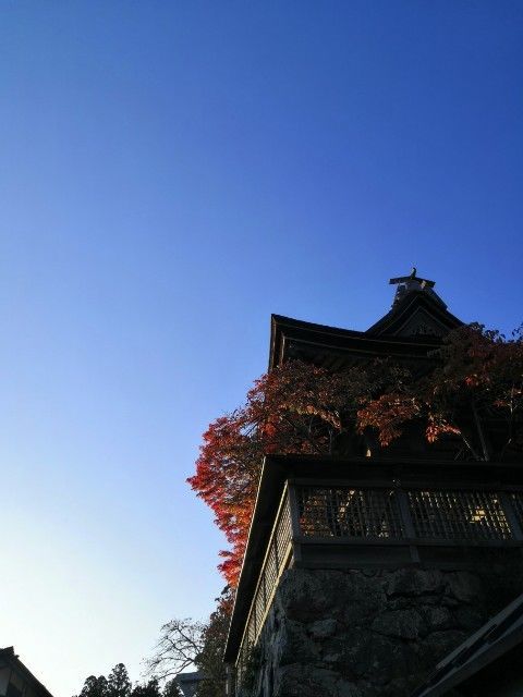 f:id:fumino_ya:20200721191755j:image