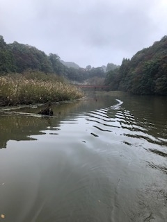 f:id:fumitaka-siro:20181105185046j:plain f:id:fumitaka-siro:20181105185046j:plain