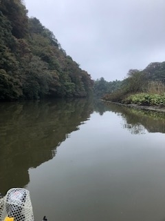 f:id:fumitaka-siro:20181105185100j:plain f:id:fumitaka-siro:20181105185100j:plain