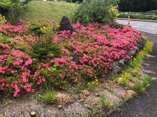 f:id:fumitaka-siro:20181108225237j:plain f:id:fumitaka-siro:20181108225237j:plain