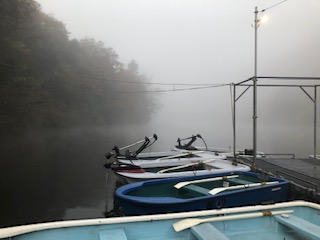 f:id:fumitaka-siro:20190101215227j:plain