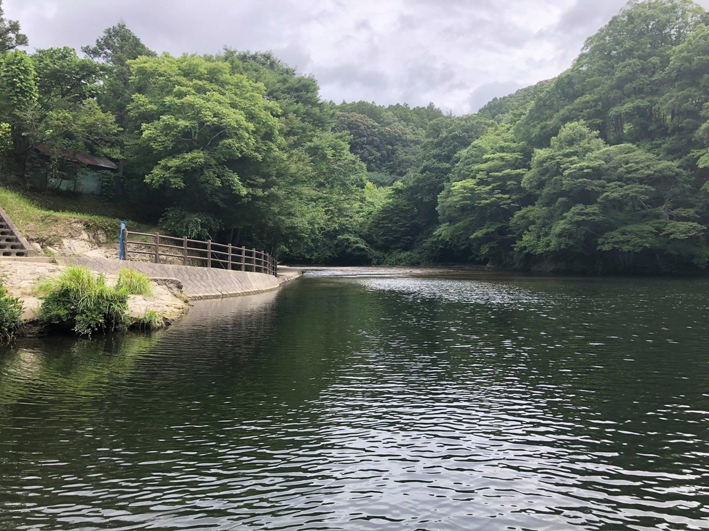亀山湖 私的お勧めのオカッパリポイント3 房総ダム湖の旅人