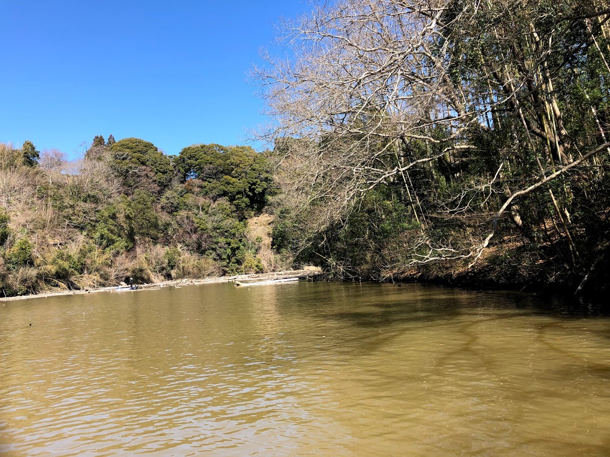 f:id:fumitaka-siro:20190313225716j:plain