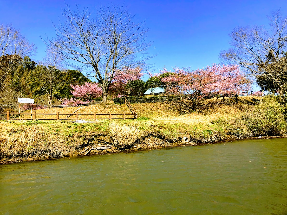 f:id:fumitaka-siro:20190313225741j:plain