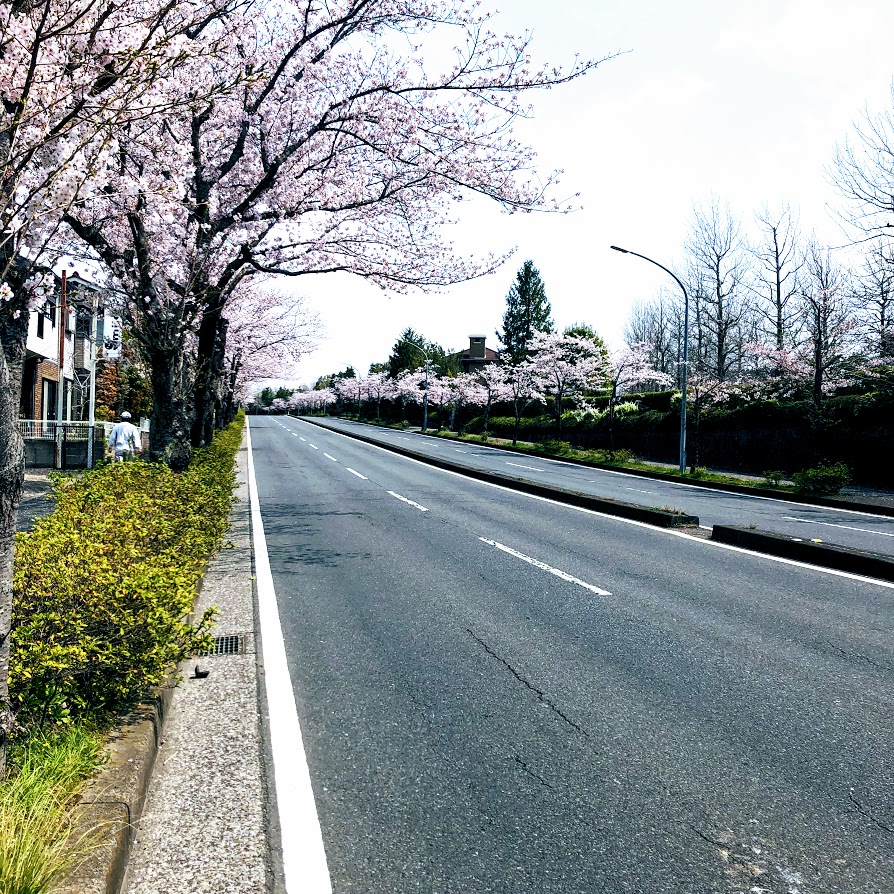 f:id:fumitaka-siro:20190408204500j:plain