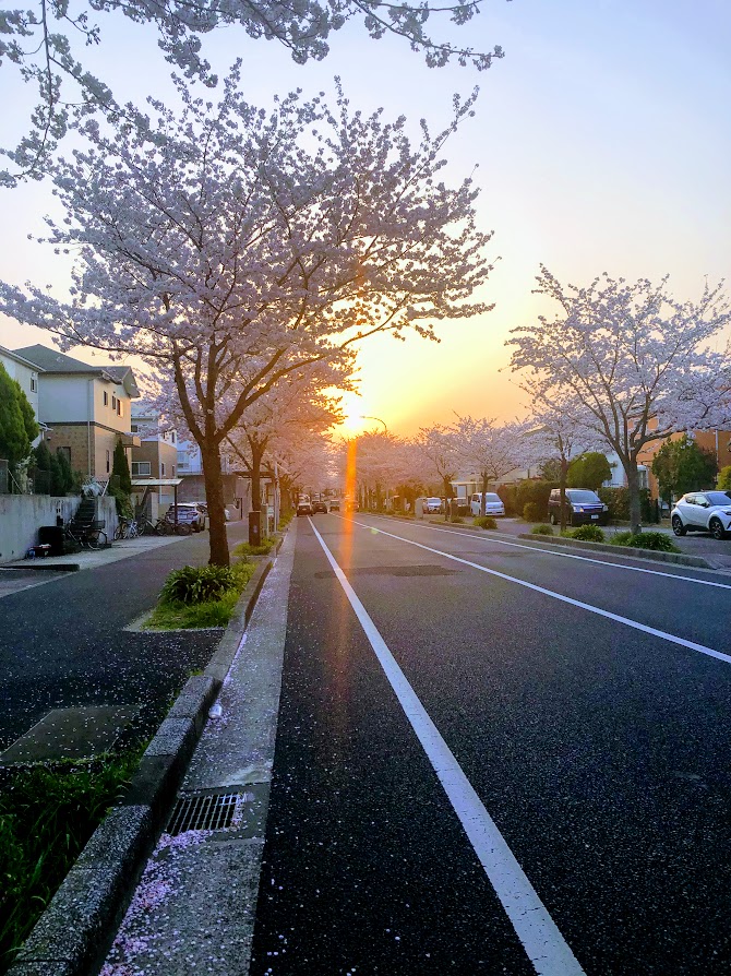 f:id:fumitaka-siro:20190408204518j:plain