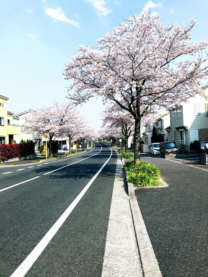 f:id:fumitaka-siro:20190408205607j:plain