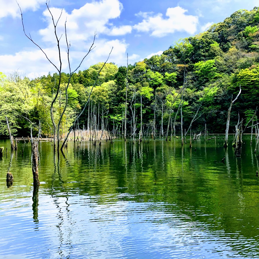 2019年の笹川湖 片倉ダム 房総ダム湖の旅人