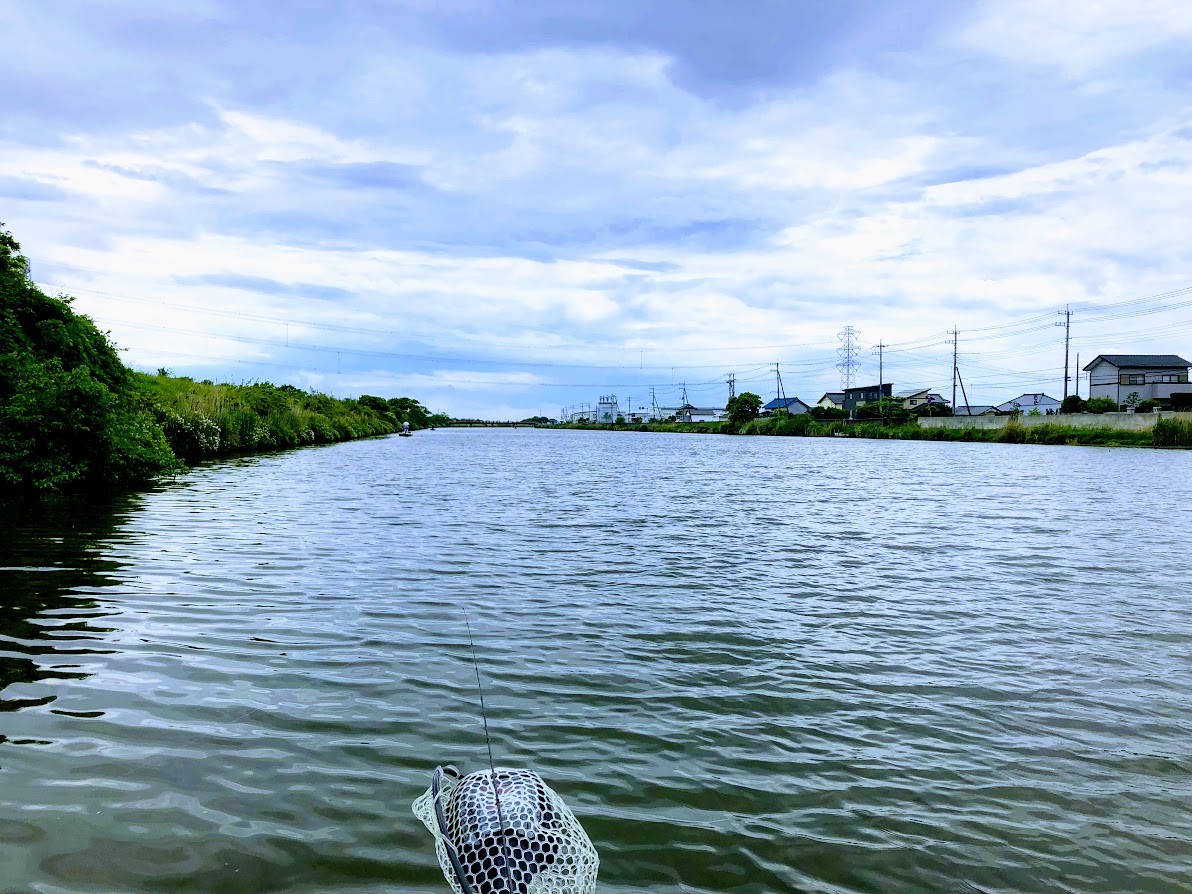 f:id:fumitaka-siro:20190516074844j:plain