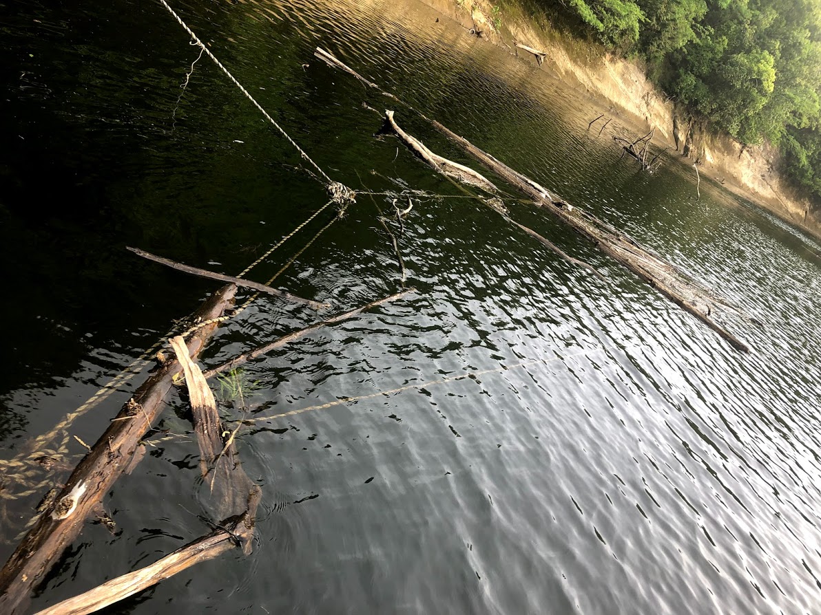 f:id:fumitaka-siro:20190602064444j:plain