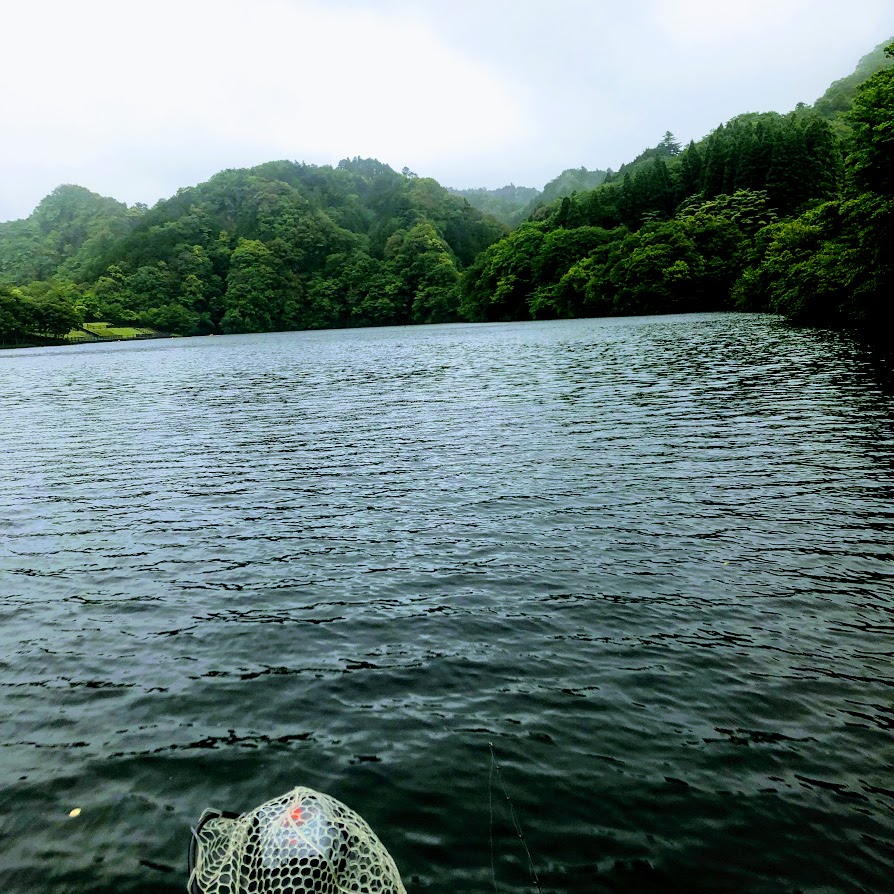 f:id:fumitaka-siro:20190609211522j:plain f:id:fumitaka-siro:20190609211522j:plain