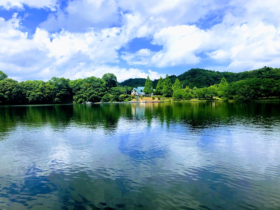 f:id:fumitaka-siro:20190625232223j:plain