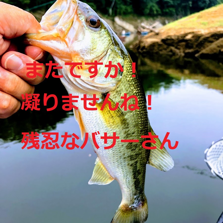 f:id:fumitaka-siro:20191002204432j:plain