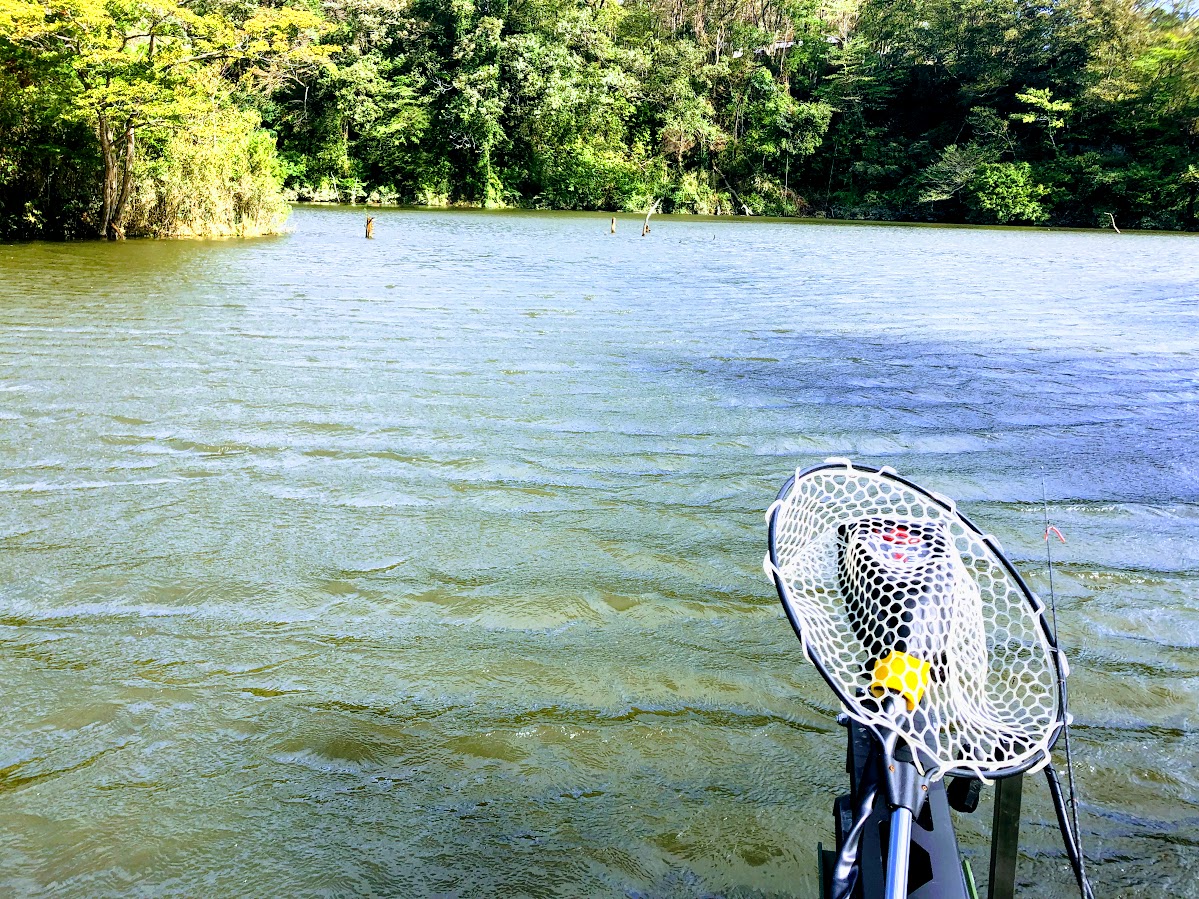 f:id:fumitaka-siro:20191005214341j:plain