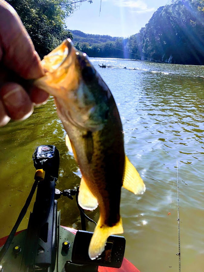 f:id:fumitaka-siro:20191122003547j:plain f:id:fumitaka-siro:20191122003547j:plain