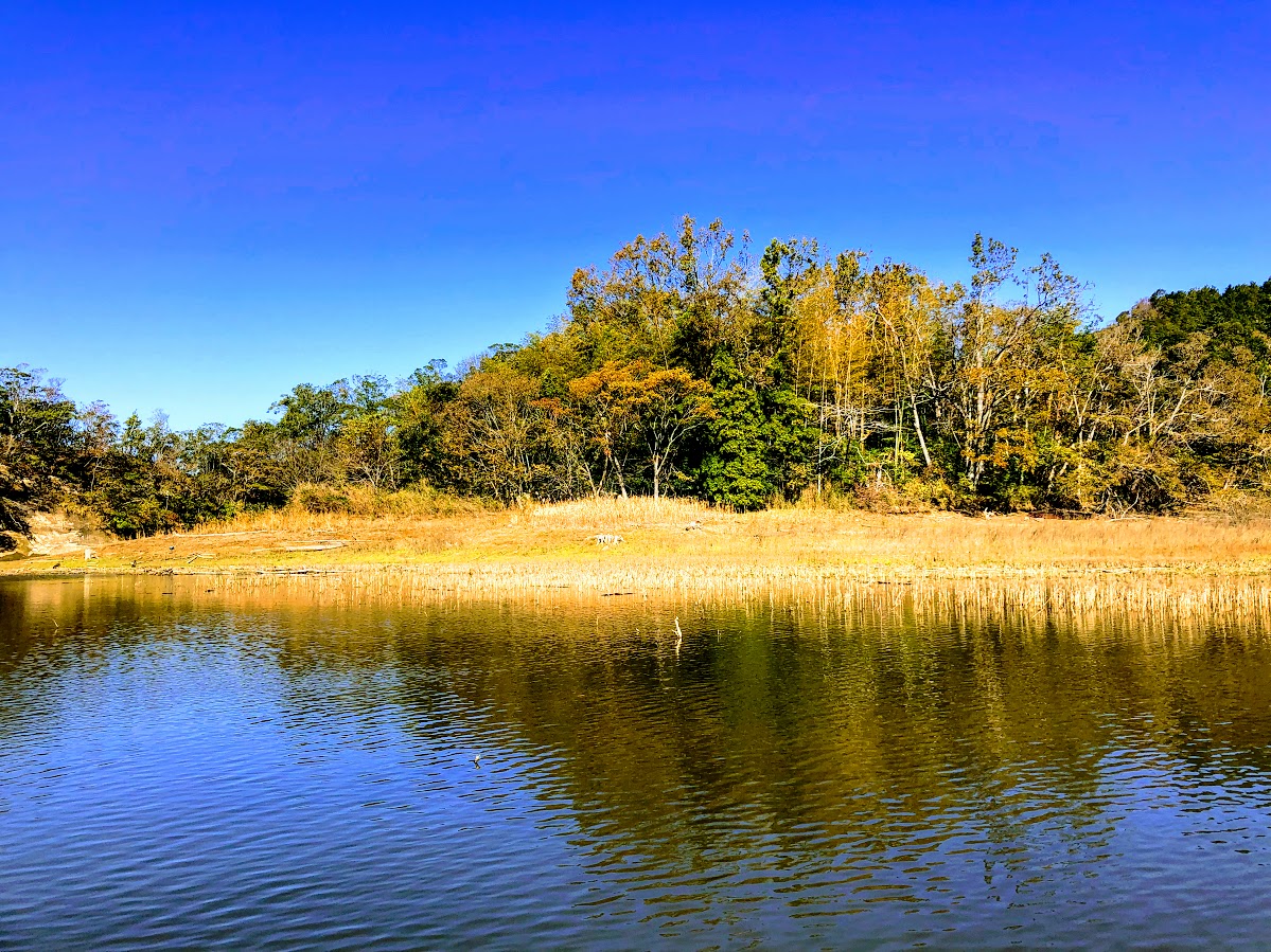 f:id:fumitaka-siro:20191122005042j:plain f:id:fumitaka-siro:20191122005042j:plain