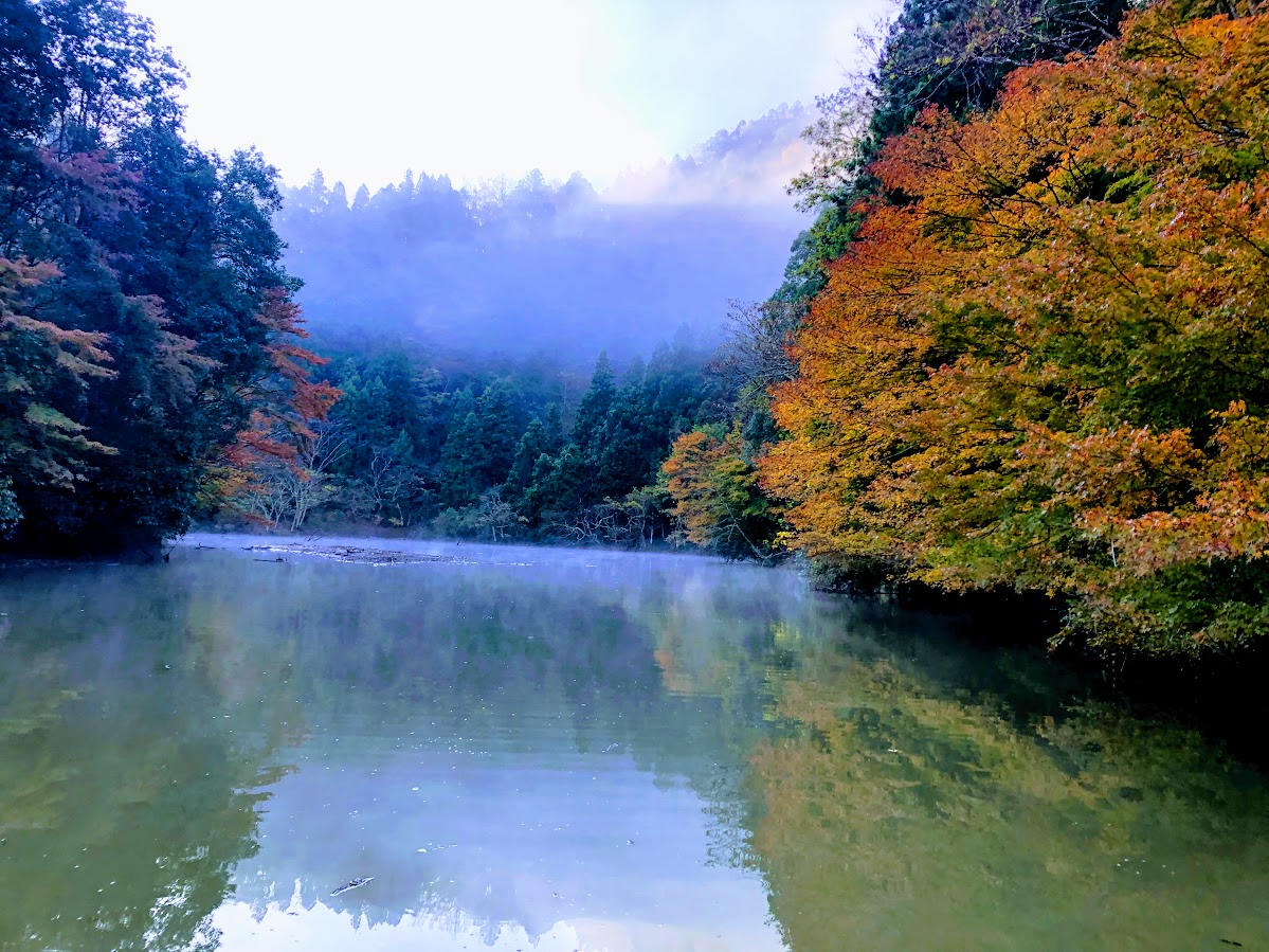 f:id:fumitaka-siro:20191221052649j:plain f:id:fumitaka-siro:20191221052649j:plain