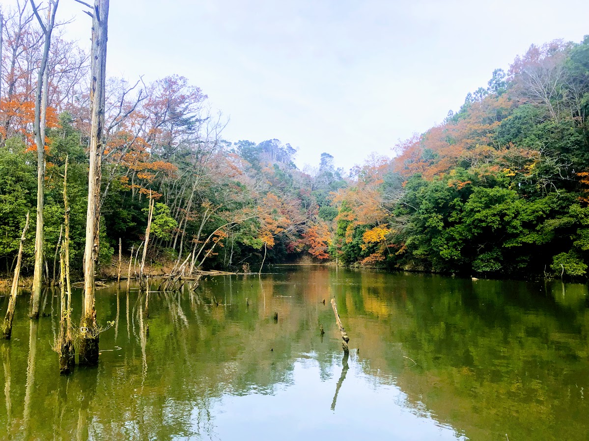 f:id:fumitaka-siro:20191221053116j:plain f:id:fumitaka-siro:20191221053116j:plain