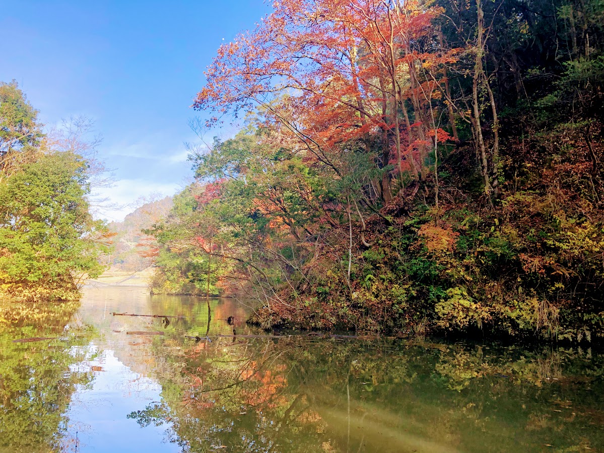 f:id:fumitaka-siro:20191221191706j:plain f:id:fumitaka-siro:20191221191706j:plain