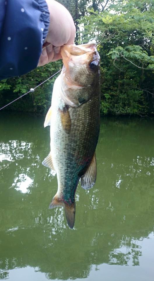 f:id:fumitaka-siro:20200531234055j:plain