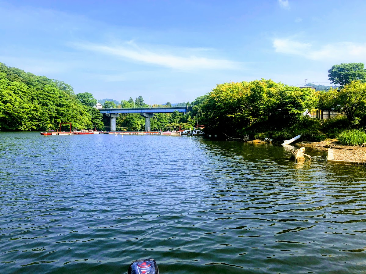 f:id:fumitaka-siro:20200605235714j:plain