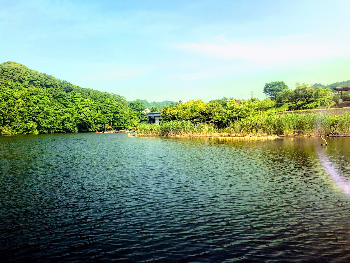 f:id:fumitaka-siro:20200622021156j:plain f:id:fumitaka-siro:20200622021156j:plain