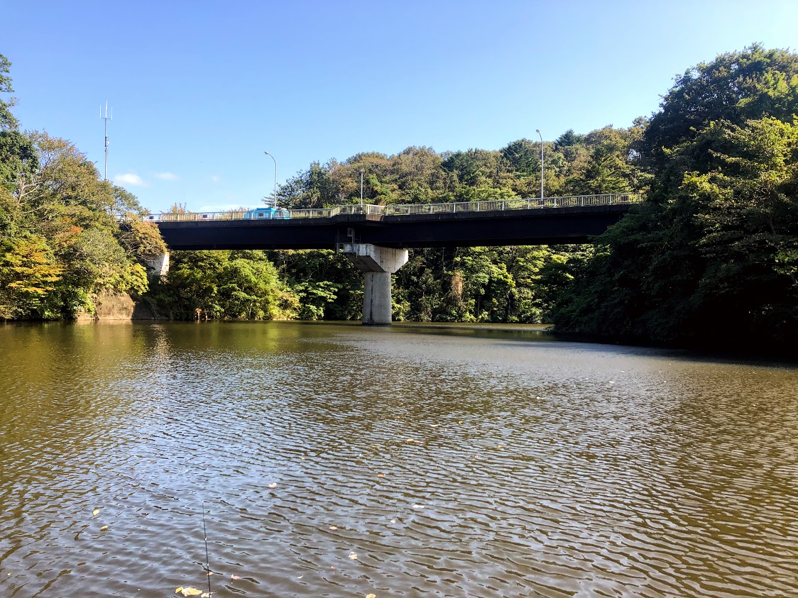 f:id:fumitaka-siro:20201015073507j:plain