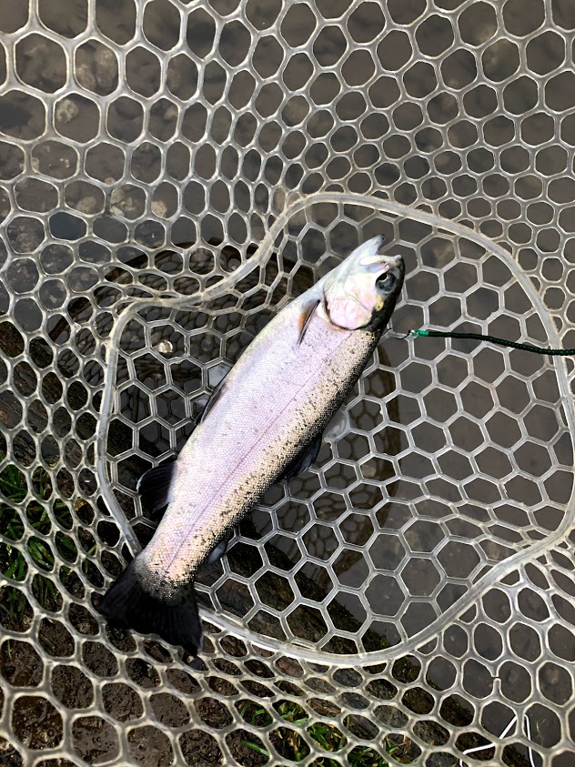 f:id:fumitaka-siro:20210128021418j:plain