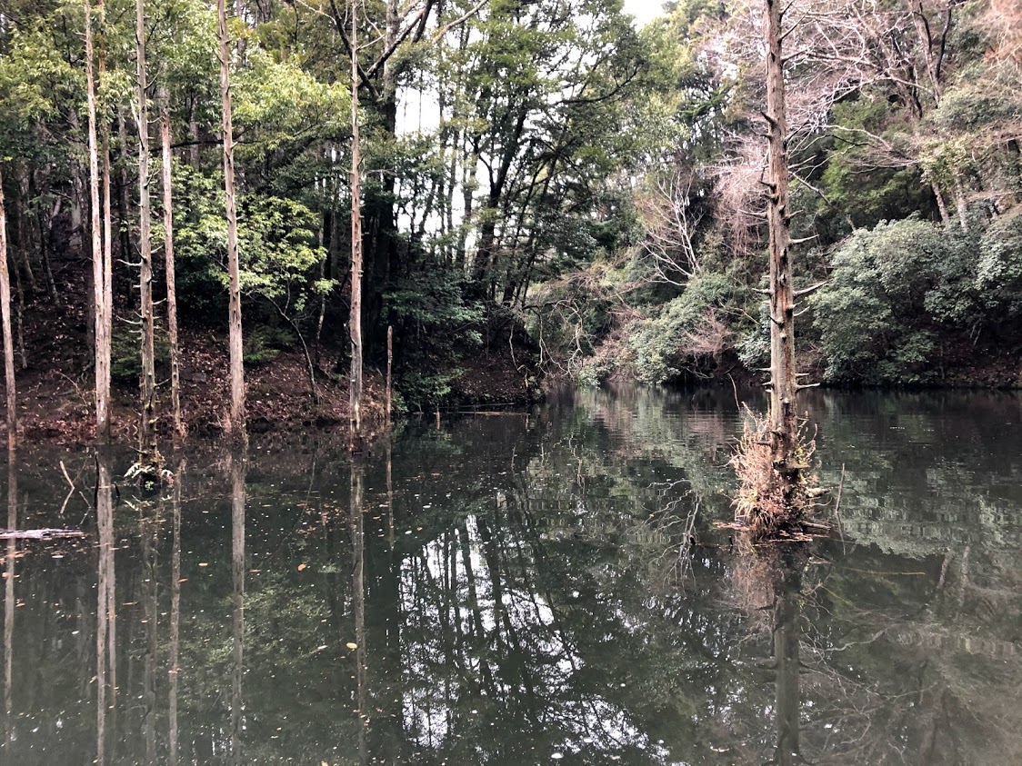 f:id:fumitaka-siro:20210309210541j:plain