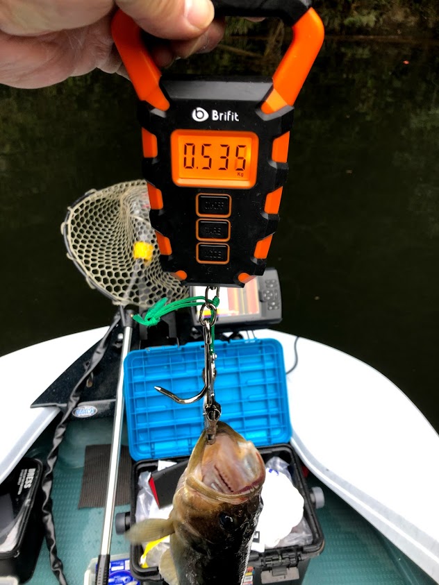 f:id:fumitaka-siro:20210309213743j:plain