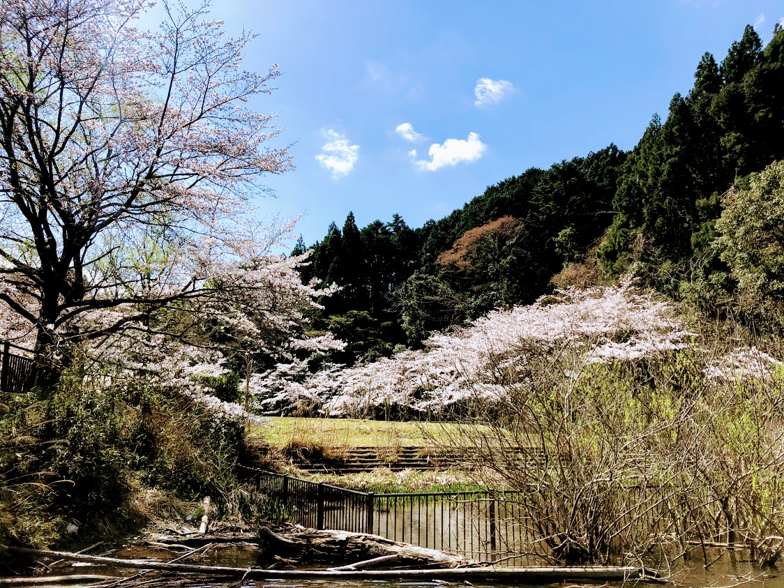 f:id:fumitaka-siro:20210325043145j:plain