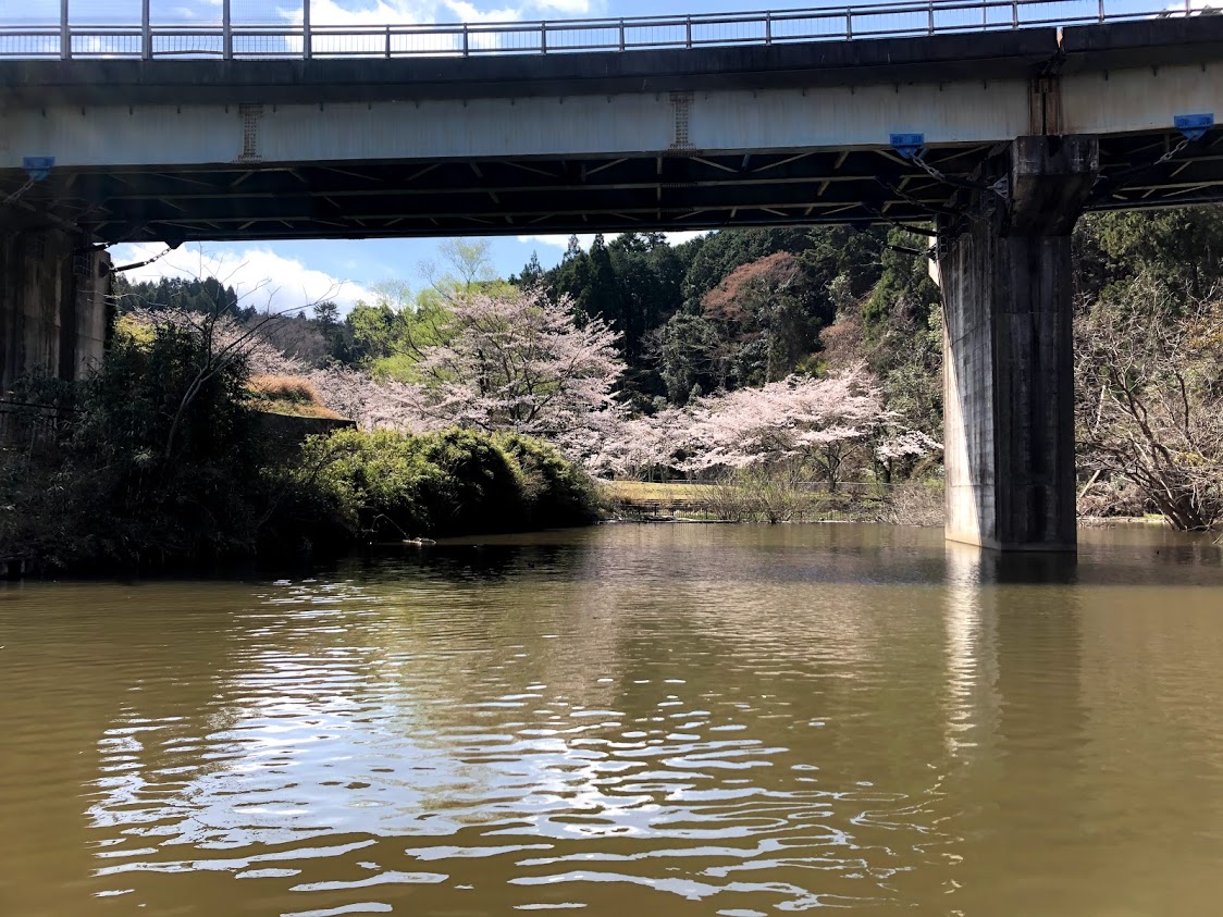 f:id:fumitaka-siro:20210325070432j:plain
