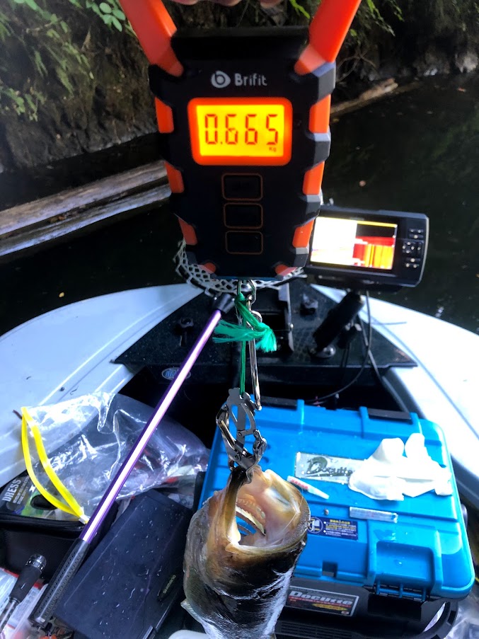 f:id:fumitaka-siro:20210724194823j:plain