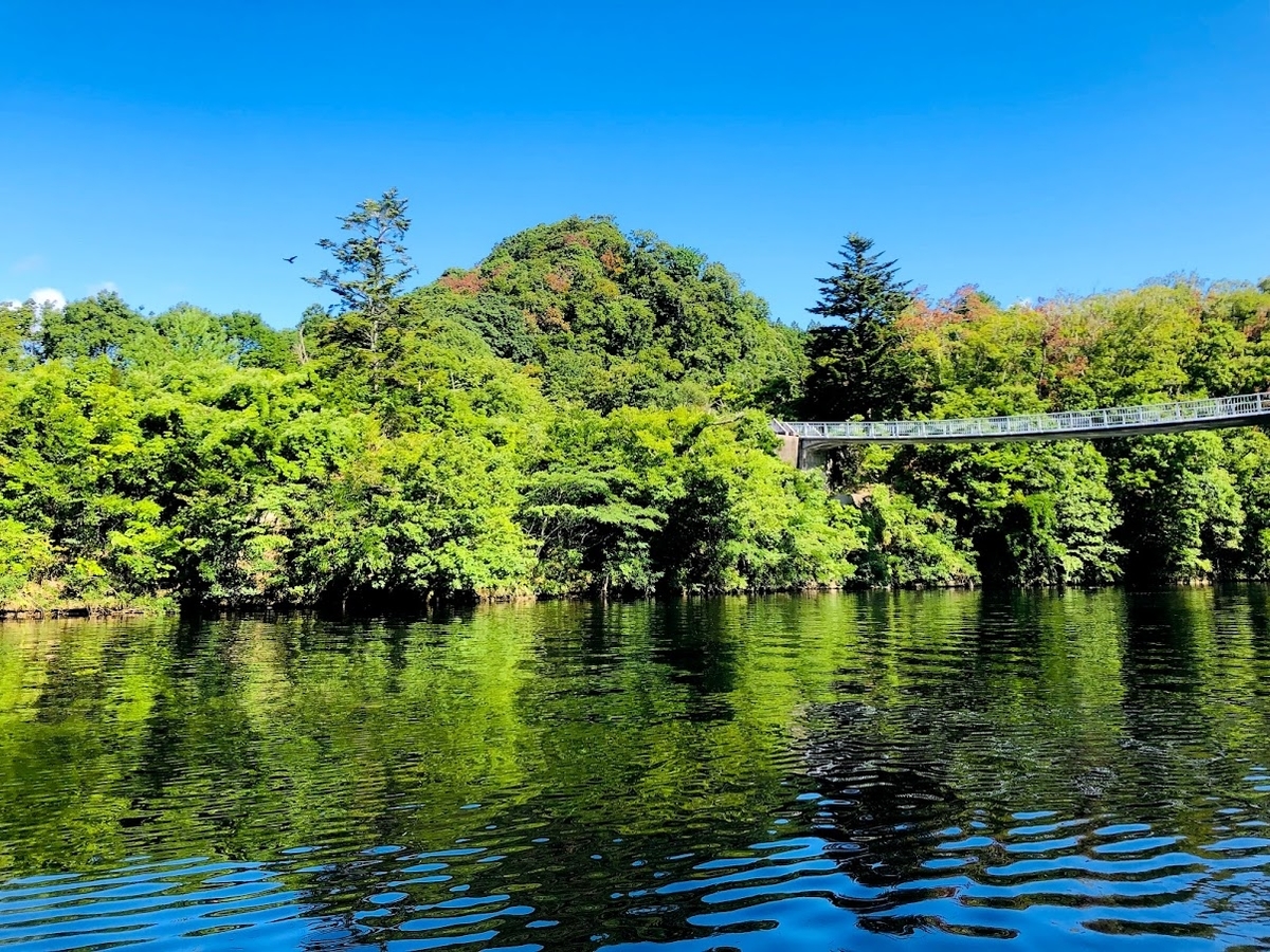 f:id:fumitaka-siro:20210724215936j:plain