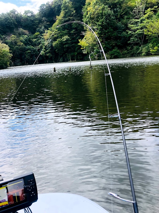 f:id:fumitaka-siro:20211001215634j:plain