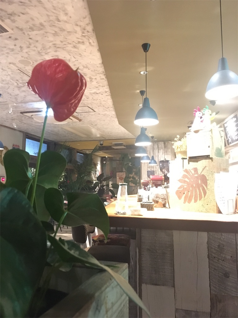 f:id:fumitaka0118:20190701202312j:image