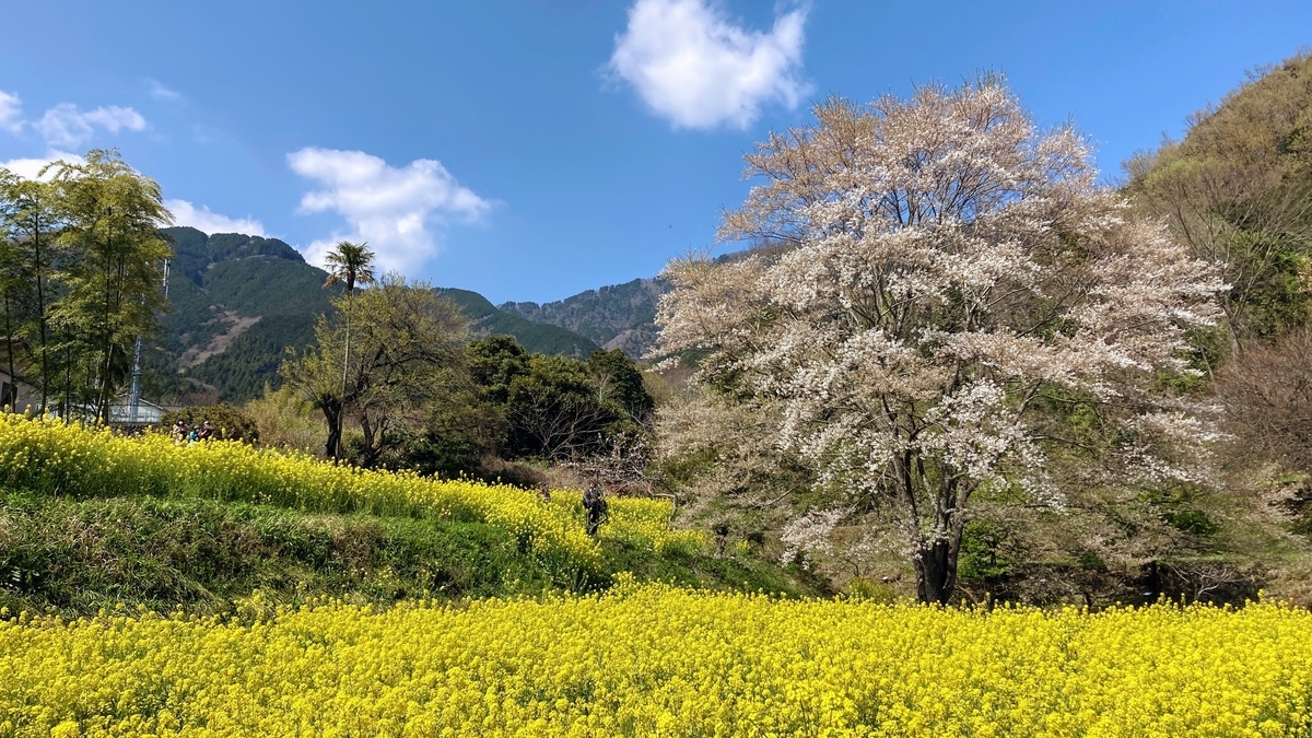 f:id:fumitaka2019:20220410221432j:plain