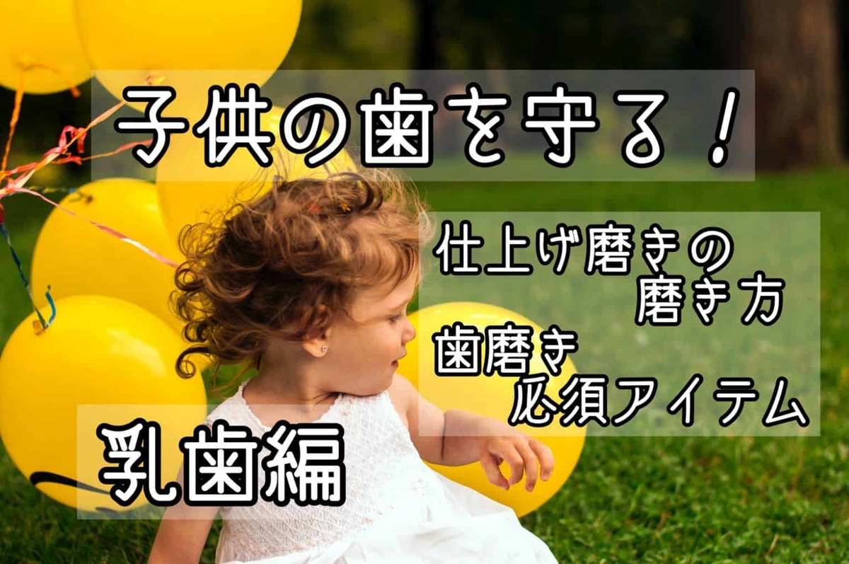 f:id:fumitotama:20200830151741j:plain