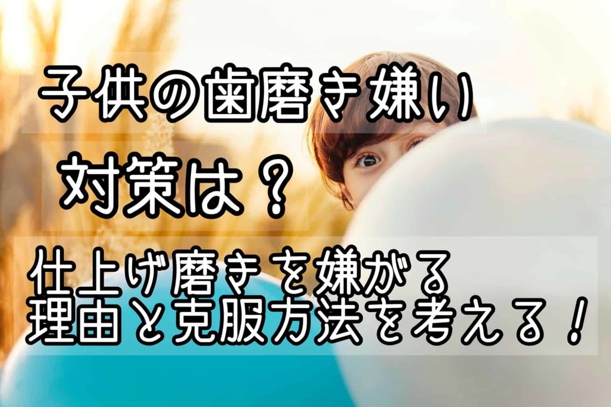 f:id:fumitotama:20200830231325j:plain