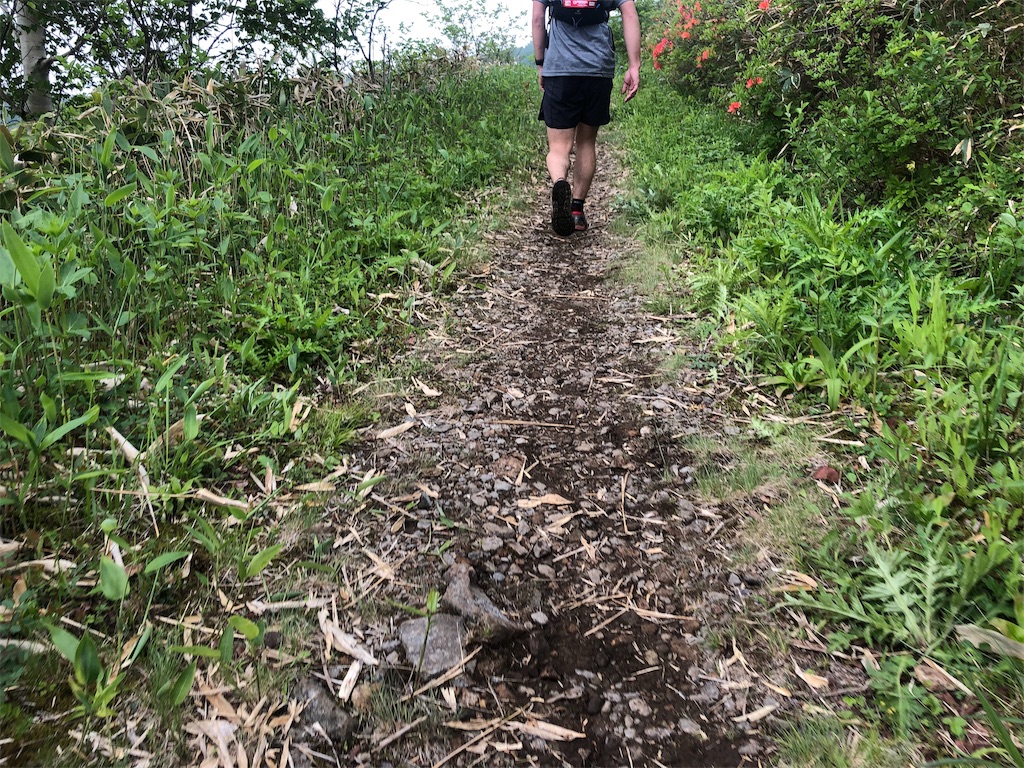 f:id:fumiya0803:20190625185516j:image f:id:fumiya0803:20190625185516j:image