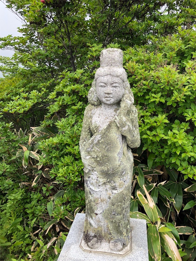 f:id:fumiya0803:20190625185537j:image f:id:fumiya0803:20190625185537j:image
