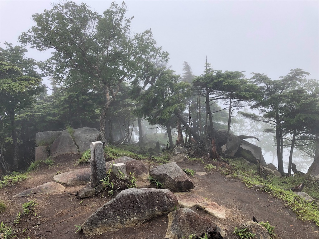 f:id:fumiya0803:20190715213005j:image f:id:fumiya0803:20190715213005j:image