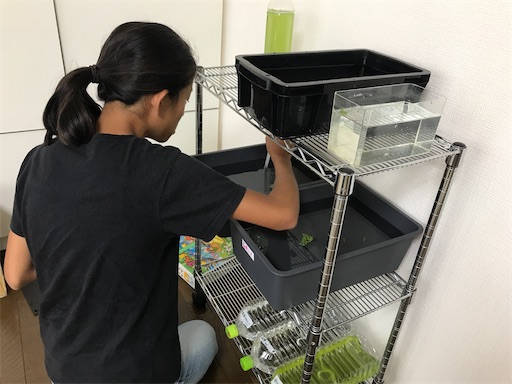 f:id:fumizou0709:20210816200430j:image f:id:fumizou0709:20210816200430j:image