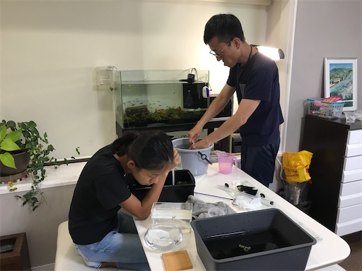 f:id:fumizou0709:20210816201315j:image f:id:fumizou0709:20210816201315j:image